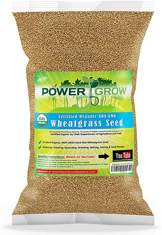 Chemical Free Hard Red Wheat Seed - 5 Lbs - Plant & Grow Wheatgrass, Flour, Grain & Bread, Emergency Preparation Food Storage - Excellent Germination