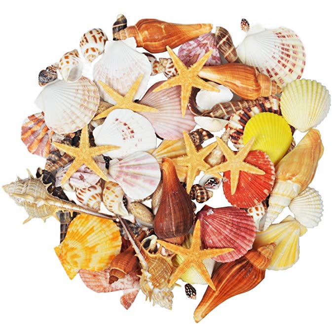 100PCS Sea Shells Mixed Ocean Beach Seashells with Starfish Perfect for Vase Fillers, Beach Theme Party Home Decorations,DIY Crafts, Fish Tank,Candle Making