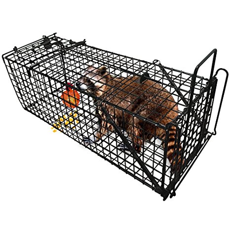 Professional Humane Live Animal Trap 28"X12"X12" Catch Release Cage for Large Nuisance Rodents Control Raccoon Mole Gopher Opossum Skunk Groundhog Squirrel Spay Feral Stray Cats Rescue Wild Rabbits