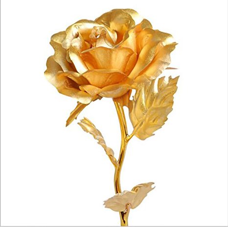 Lightahead 24k Gold Rose Foil Flowers 787 Inches Handcrafted with Gift Box the Ultimate Mothers Day Gift