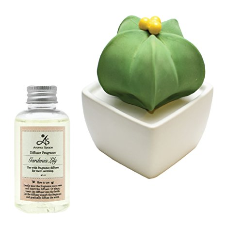 LIVELY BREEZE Ceramic Diffuser - Star Cactus & Gardenia Lily Fragrance set