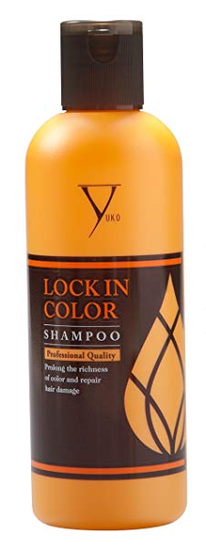 Phiten (phiten) lock-in color shampoo b 300ml 0916HSH91001