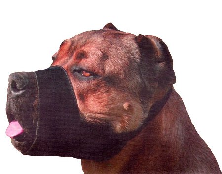 Quick Fit Nylon Dog Muzzle, Medium Fits Snout Size 7"-8", Black