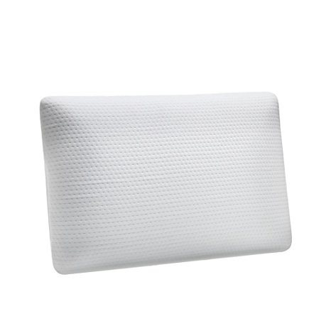 ARTALL Sleep Memory Foam Bed Pillow for Neck Pain, Standard Size Memory Foam Ventilated Pillow