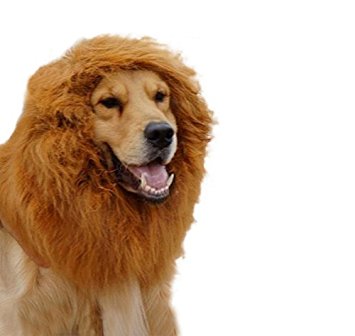 PetWell Cat Small Dog Large Dog Festival Party Fancy Dress Up Lion Mane Wig
