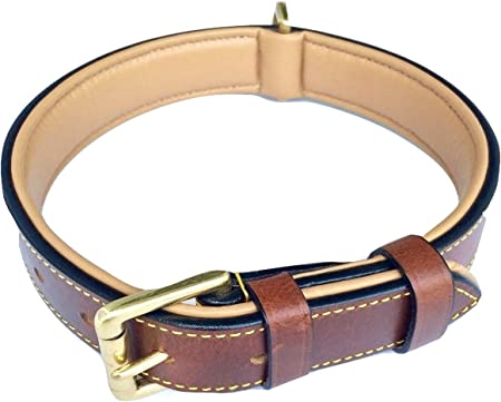 Soft Touch Collars Padded Leather Dog Collar , Brown Medium , Real Genuine Leather, Best for Male or Female Dogs, 20" Inches Long x 1" Inch Wide, Fits Neck Size 14.5" to 17.5"