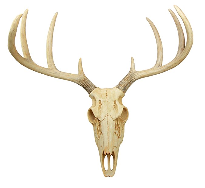 Atlantic Collectibles Rustic Hunter Deer 8 Point Buck Skull Antler Rack Wall Mounted Plaque Trophy Decor Figurine 14.25" Long