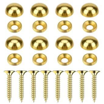 8Pcs Pure Brass Decorative Screws with Caps Mirror Fixing Screw Covers Gold Decorative Bolts Upholstery Tacks Self-Tapping Screws for Furnitures, Paintings, Eyeglasses, Mirrors Fixing and Repairing