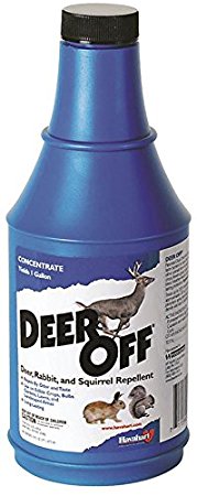 Deer Off Deer, Rabbit, and Squirrel Repellent Concentrate, 16 oz. Bottle