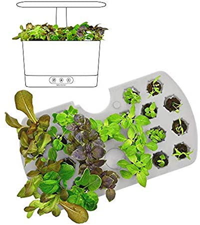 AeroGarden 800297-0200 (2018) Seed Starting System for Harvest Models, Black