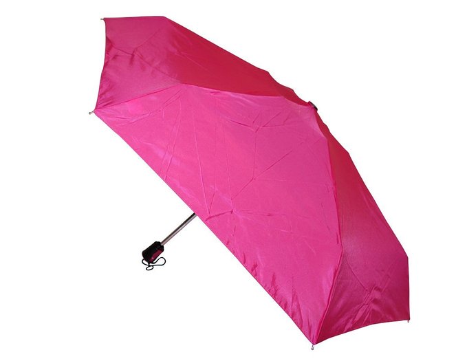 Raines 10-Ounce Automatic Open Mini Travel Umbrella with 42-inch Coverage