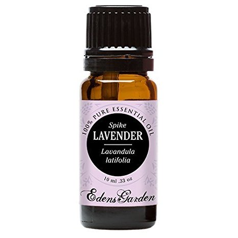 Spike Lavender 100% Pure Therapeutic Grade Essential Oil by Edens Garden- 10 ml