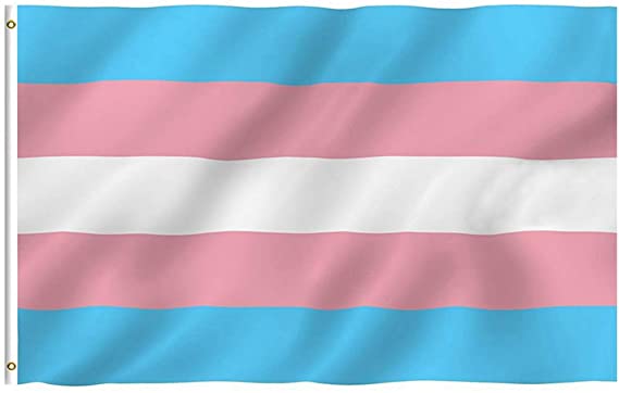 Oniche Transgender Flag 3x5 FT Trans Flag Vivid Color Polyester Blue Pink Rainbow Flags with Brass Grommets Pride Month 2019 (Transgender Flag)