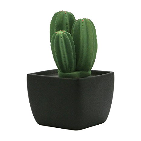 Ceramic fragrance diffuser essential oil for aromatherapy and decorate your place.Tri Cactus(Black vase)