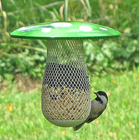 The Best Bird Feeder to Attract More Wild Birds! Keep Squirrels Out and Frustrated! Suitable for Sunflower Seeds & All Types of Bird Food! Decorative Metal Feeders Allow Variety of Bird Sizes Great Gift Idea for Your Family!