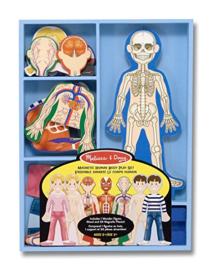 Melissa & Doug Magnetic Human Body Play Set