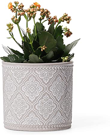 Succulent Plant Pot - POTEY 6 Inch Vintage Indoor Planter with Drainage Holes for Flowers, Orchid, Snake Plant, Aloe, Modern Home Decor - 801, Original Gray