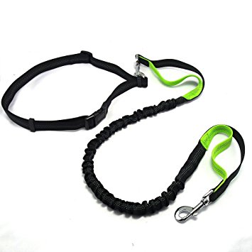 Hands Free Dog Leash for Running - Adjustable Waist Belt, Retractable Bungee, Dual Traffic Handles - Fits for up to 130 lbs Large Dogs