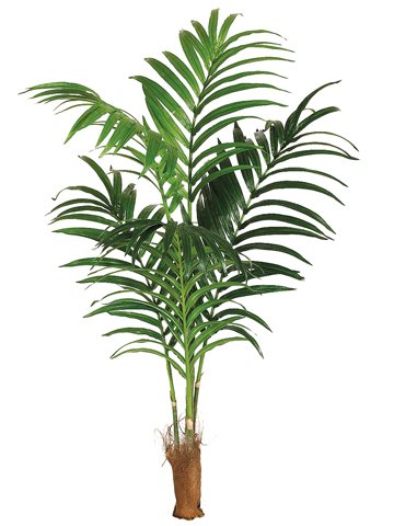 ONE 7' Artificial Tropical Kentia Palm Tree with No Pot