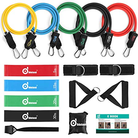 Odoland 16 pcs Resistance Bands Set Workout Bands and Rehab Bands, Heavy Exercise Bands Fitness Bands with Door Anchor, Ankle Strap, Resistance Loop Bands for Gymnastics