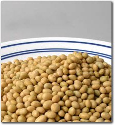 25 Lbs Organic Soybeans - Certified Organic Soy Beans for Soymilk, Tofu, Food Storage & more.