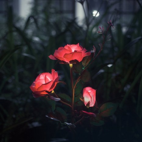 XLUX Outdoor Decorative Solar Rose LED Lights, Pink