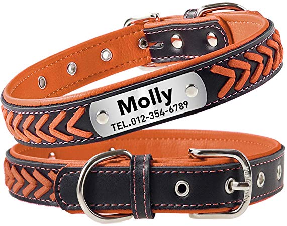Taglory Personalized Dog Collar Leather,Stainless Steel Nameplate Engraved,Custom Western Collar