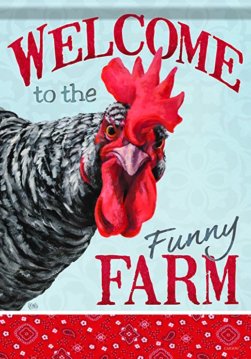Carson Home Accents Flagtrends Classic Garden Flag, Welcome Funny Farm Chicken