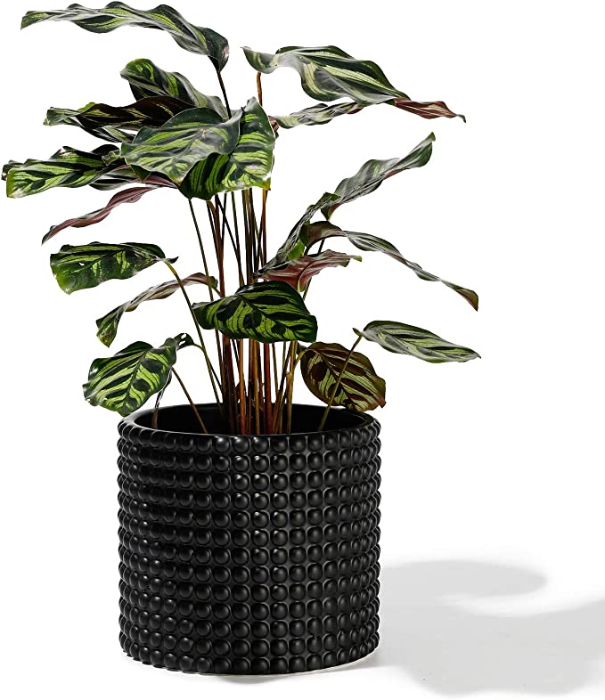 POTEY 055101 Black Ceramic Vintage-Style Hobnail Textured Flower Planter Pots for Indoor Plants Flower Succulent with Drainage Hole(6.1 Inch D, Plant NOT Included)