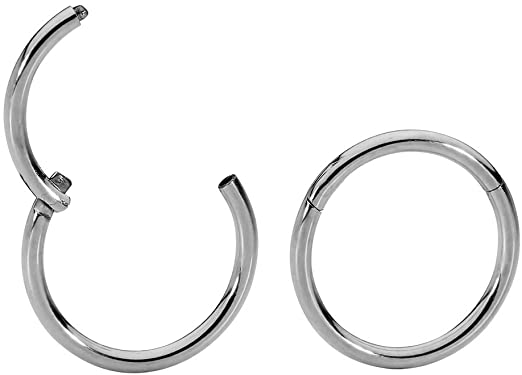 365 Sleepers 2 Pcs G23 Titanium 20G (Very Thin) Hinged Hoop Segment Ring Sleeper Earrings 5mm - 6mm - 7mm - 8mm - 9mm - 10mm