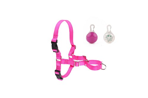 Easy Walk Dog Harness  3 Pack Bundle  No Pull Harness and 2 LED Dog Collar Safety Blinker Lights Batteries Included