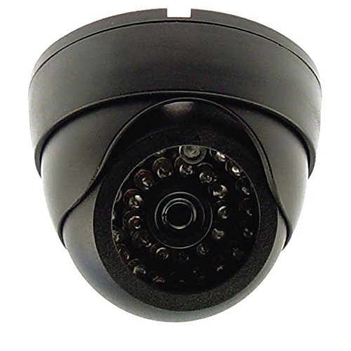 Infrared Motion Detection Wireless Flashing LED Dummy Dome Fake Security Camera