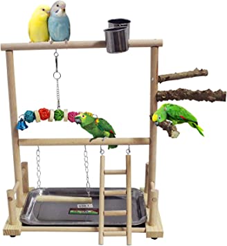 kathson Bird Play Stand Parrot Perch Stand Natural Wood Bird Playground Playstand for Cockatiel Conures Parakeet Parrots Budgie Lovebird Finch Small Birds