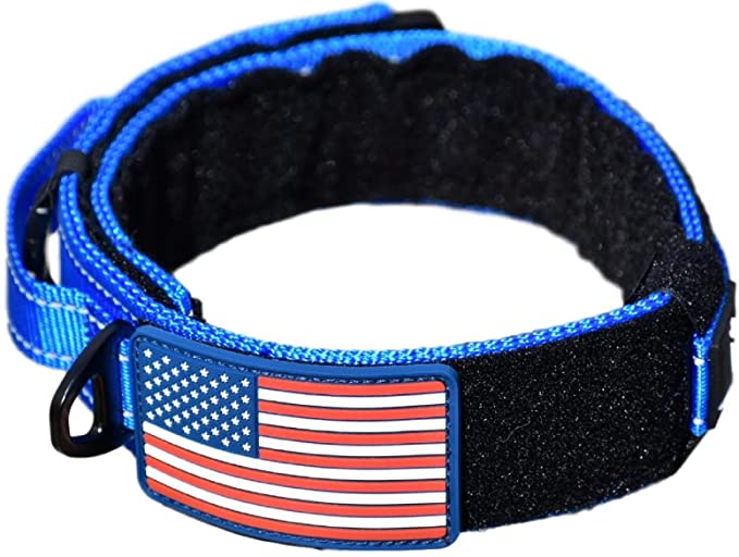 Diezel Pet Products Dog Collar with Control Handle Quick Release Metal Buckle Heavy Duty Military Style 2" Width Nylon with USA Flag for Handling and Training Large Canine Male Or Female K9