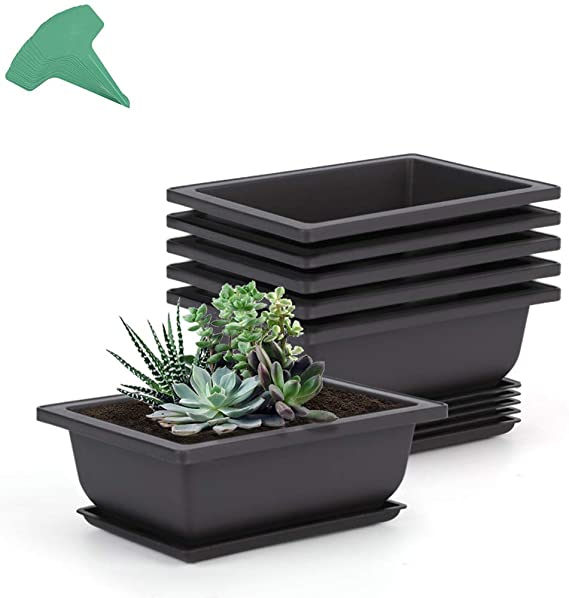 GROWNEER 6 Packs 6.5 Inches Bonsai Training Pots with 15 Pcs Plant Labels, Plastic Bonsai Plants Growing Pot for Garden, Yard, Office, Living Room, Balcony and More