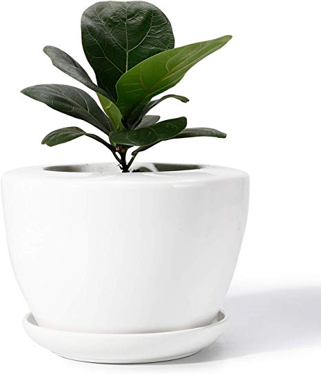 POTEY Plant Pot for Plants Flower - 7.2 Inch White Ceramic Glazed Planters Bonsai with Drainage Hole & Saucer(Plant NOT Included)