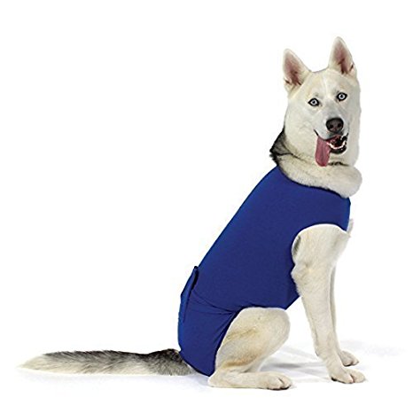 KVP Recova Shirt E-Collar Alternative Pet Recovery Collar