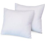 BioPedic Luxurious 28-by-28 Inch Euro Square Pillows 2-Pack