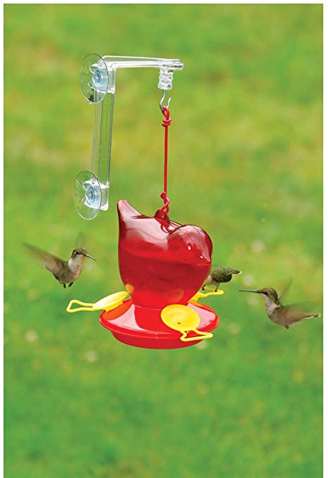 Songbird Essentials SEBCO312W Window Red Bird Hummingbird Feeder (Set of 1)