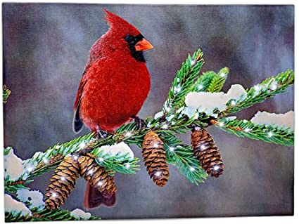 BANBERRY DESIGNS Winter Cardinal Print - LED Light Up Christmas Canvas Picture - Red Cardinal Bird on a Birch Branch with Pine Cones and Snowy Background - 16 X 12