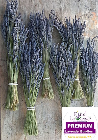 Findlavender - Lavender Dried Premium Bundles - 22 to 24" - 130 to 150 Stems - Can Be Used for Any Ocassion - Perfect for your wedding! - 6 Bundles