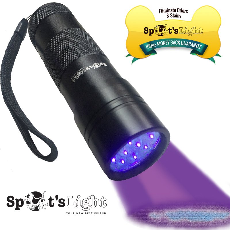 Spots Light UV Blacklight Flashlight Black 12 LED Ultraviolet Pet Urine Stain Detector Finds Dog and Cat Pee on Carpets Rugs any Floor or Wall