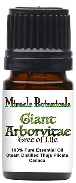 Miracle Botanicals Giant Arborvitae Essential Oil - 100% Pure Thuja Picata - Therapeutic Grade - 5ml