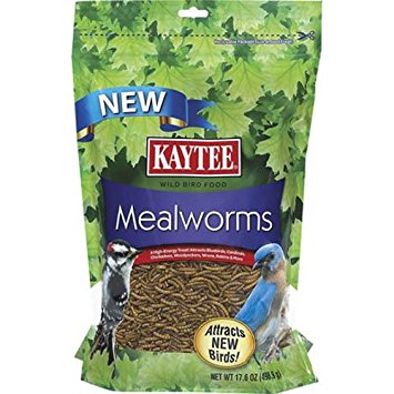 Kaytee Mealworms, 17.6-Ounce Pouch