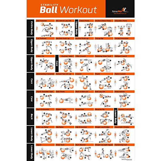 Exercise Ball Poster Laminated - Total Body Workout - Personal Trainer Fitness Program - Swiss, Yoga, Balance & Stability Ball Home Gym Poster - Tone Your Core, Abs, Legs Gluts & Upper Body - 20"x30"