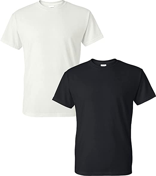 Gildan Men's DryBlend T-Shirt, Style G8000, 2-Pack