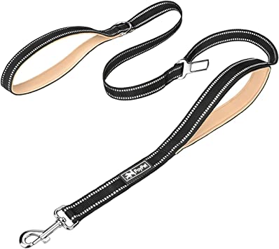 PoyPet 5 Feet Dog Leash - Reflective - 2 Cushioned Handles - Functional Car Seat Belt