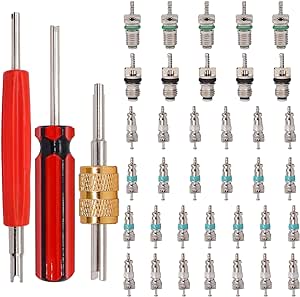 TWTADE 39PCS Air Conditioning Valve Core Kit - Car & Home AC R12 R134a Refrigeration Schrader Valve Stem Cores with Single & Dual Heads Valve Core Remover Installer Tool