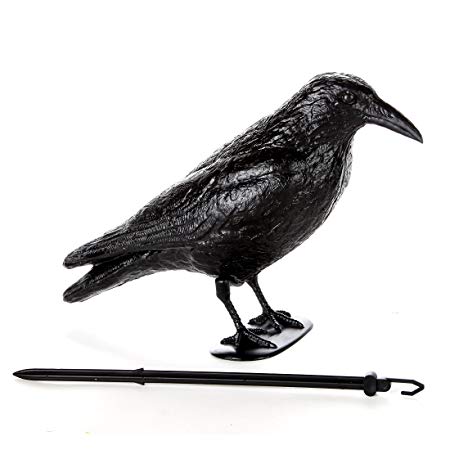 Trenton Gifts Black Plastic Crow