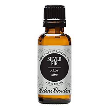 Silver Fir 100% Pure Therapeutic Grade Essential Oil by Edens Garden- 30 ml